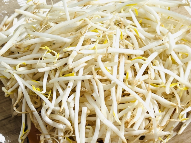 もやし　年中利用できる便利な食材