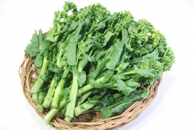 菜の花の旬は1月から3月までです。