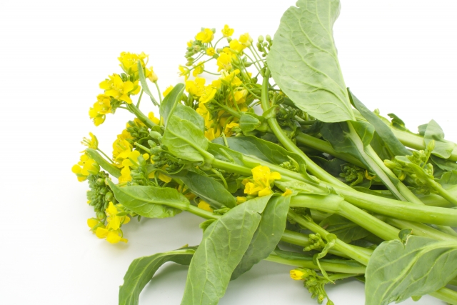 春の訪れを知らせる野菜、菜の花