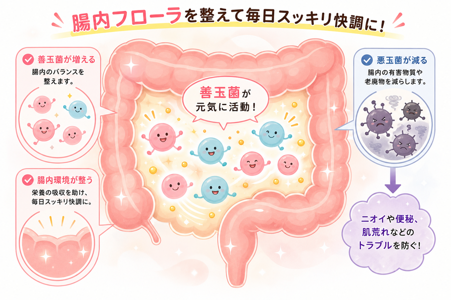 腸内フローラのイメージイラスト