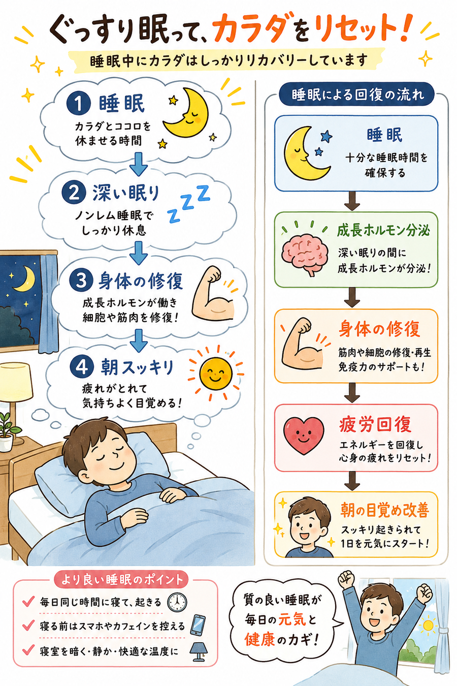睡眠の質との関係イラスト