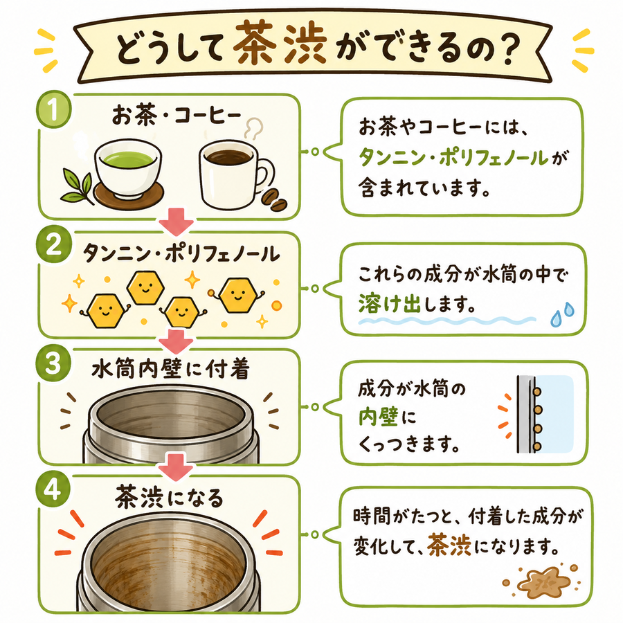 茶渋が発生する仕組みイラスト