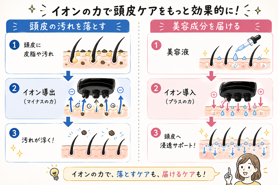 イオン導入・導出機能のイメージ図